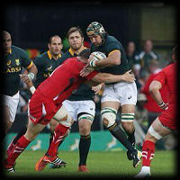 Springboks Wales 1 Victor Matfield